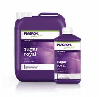 Plagron Sugar Royal - 5 litre