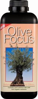 Oliven Focus 1 Liter