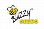 Buzzy Xotica Seeds 