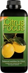 Zitronen Focus 1 Liter 